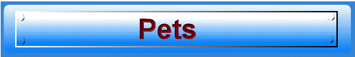 Pets